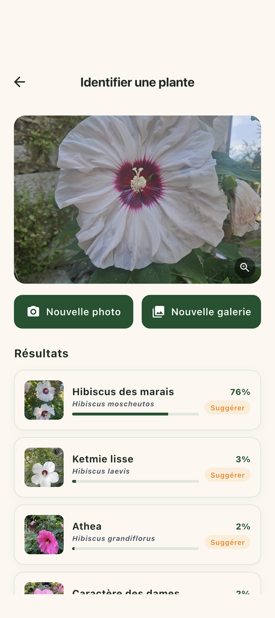 Écran d'identification d'une plante par photo